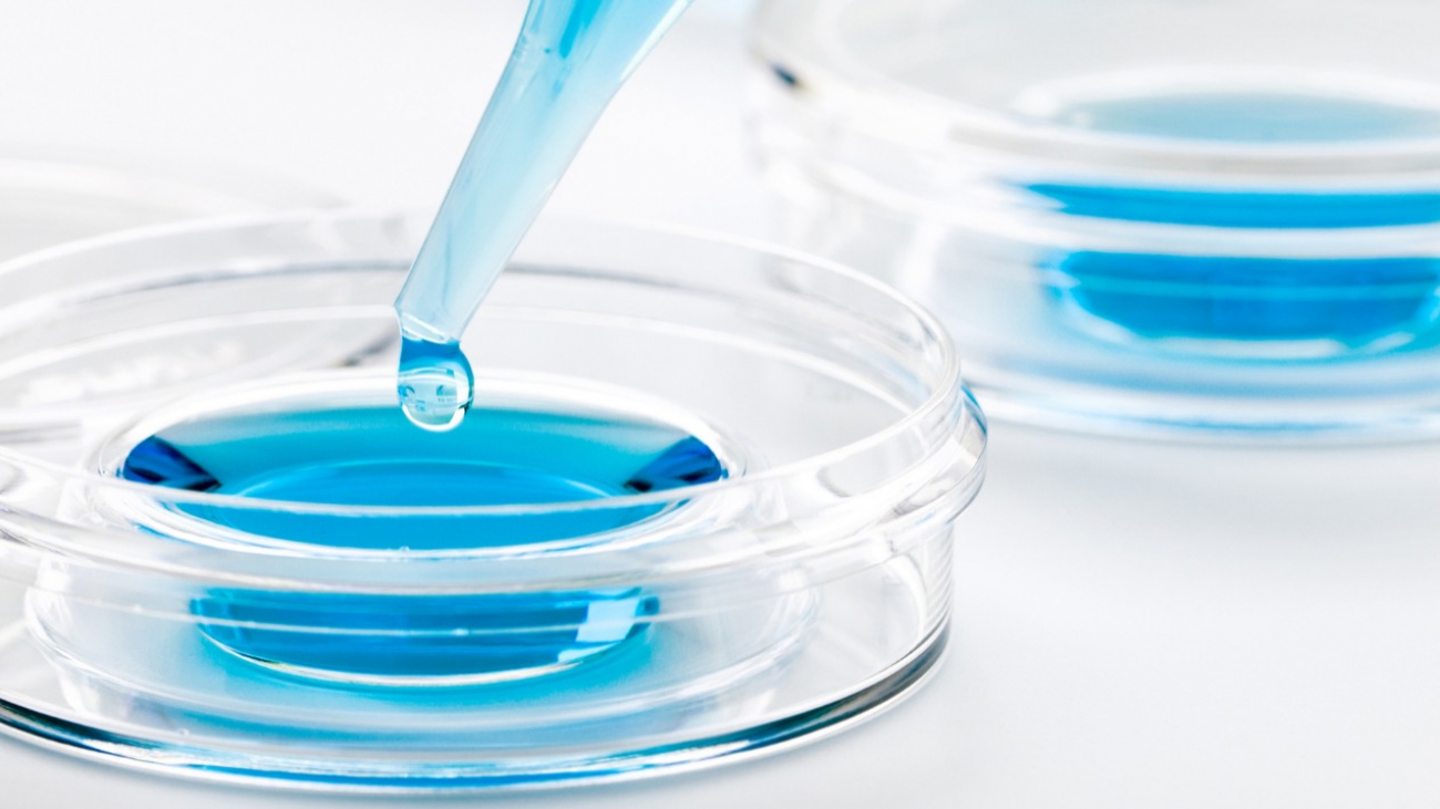 Products - Immuphage animal free (1)