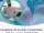 Navigating Life and Cell Transportation with ImmuONE’s Amjad Saeed (2)